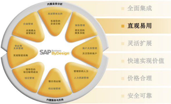 SAP ByDesign(SAP ByD)