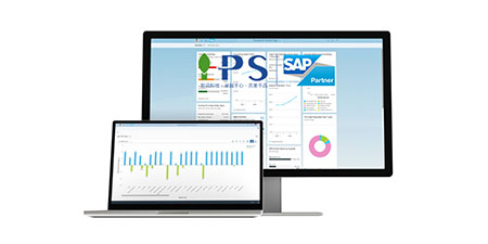 探索SAP All-in-One：集成全面的企业管理解决方案