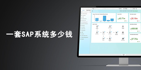 企业上一套SAP Business One的成本是多少钱?