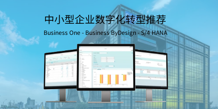 SAP Business One（SAP B1）的实际功能