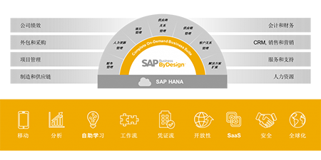 SAP Business ByDesign——打造智能企业管理的完美选择