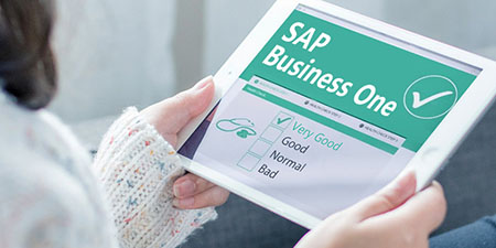 解锁企业管理新视界，SAP Business One 助企业精益求精