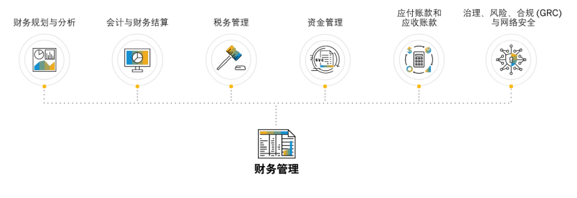 SAP财务管理