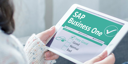 智驭增长，睿见未来：哲讯科技，以SAP Business One铸就成长型企业的数字脊梁