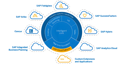 守稳数字化核心，赋能长效运营——无锡哲讯的SAP智慧运维之道