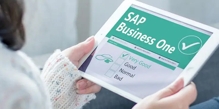  定制无界，智赋成长——无锡哲讯以SAP Business One二次开发，解锁企业数字化无限可能 