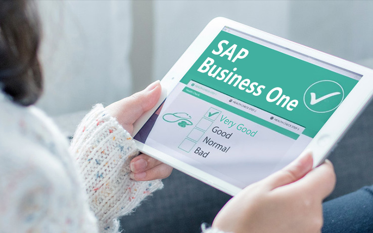 SAP Business One(SAP B1)